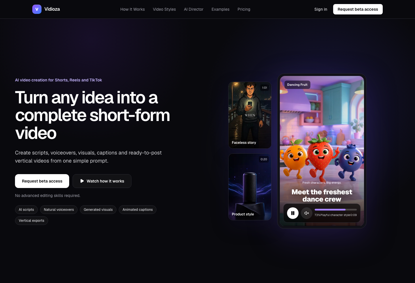 Vidioza website showing its AI short-form video creator